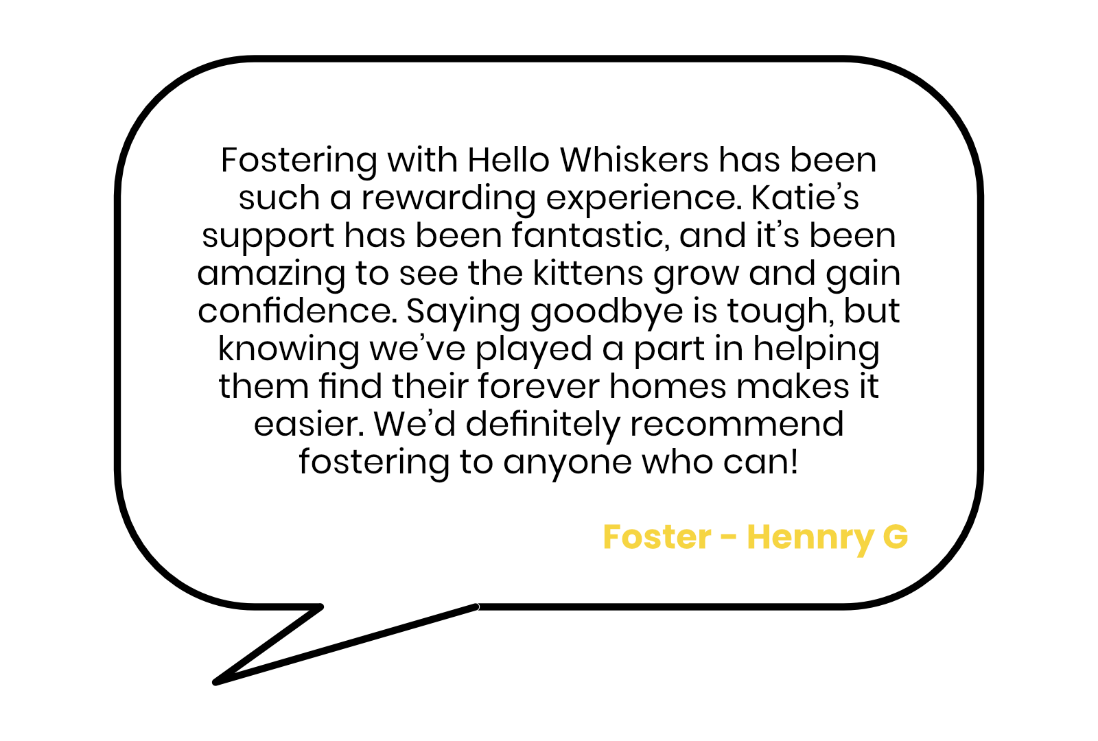 Fostering Review - Henry