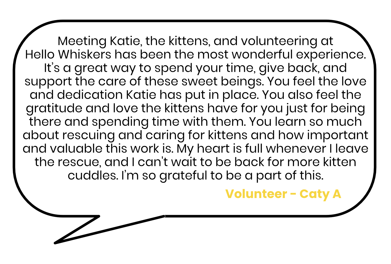 Fostering Review - Caitlin